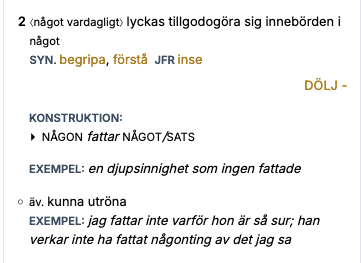 Skärmdump som visar hur fatta beskrivs av SO.